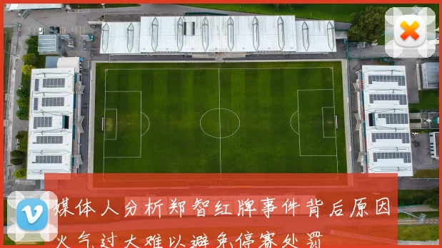 媒体人分析郑智红牌事件背后原因火气过大难以避免停赛处罚